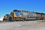 CSXT 313